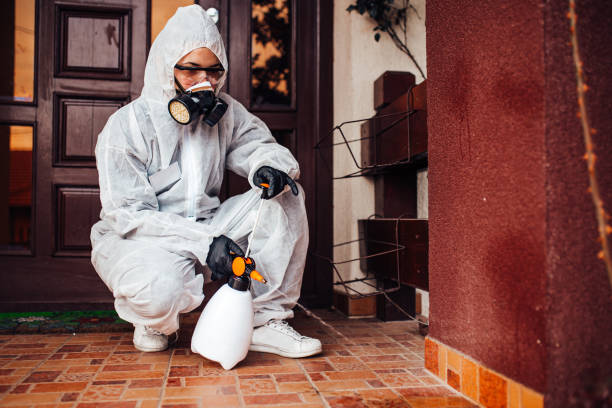 Reliable Cockroach Control contractor in New Sarpy, LA by Nex Pest Control