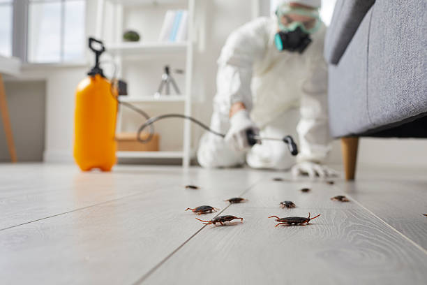 Affordable Cockroach Control solutions in New Sarpy, LA